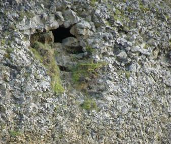 Paradisarhellir Cave Image