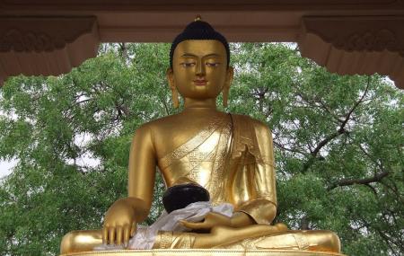 Buddha Jayanti Park Image