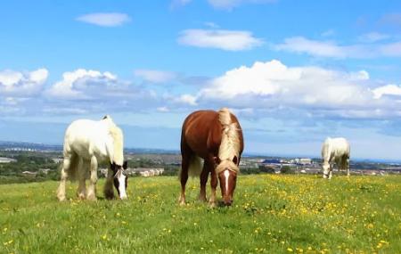 Coolmine Equestrian Centre Image