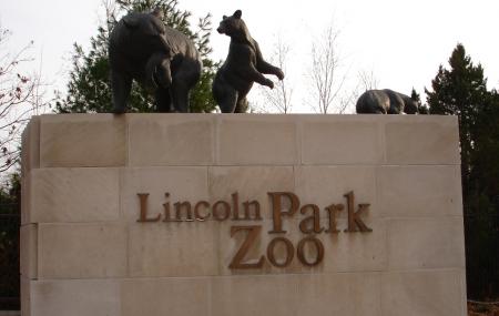 can you take dogs to lincoln park zoo