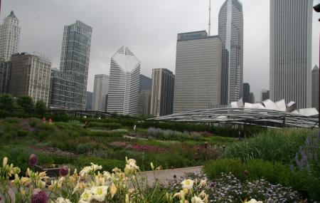 Lurie Garden Image