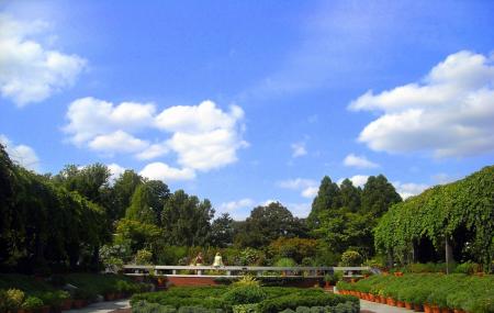 United States National Arboretum Image
