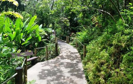 Hilo Tropical Gardens Image