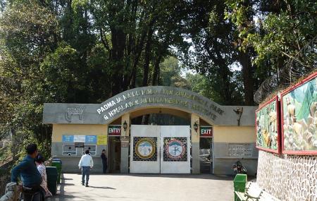 Padmaja Naidu Himalayan Zoological Park Image