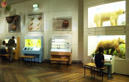 lav lektier Hysterisk sammensnøret Museum Of Man And Nature, Munich | Ticket Price | Timings | Address:  TripHobo