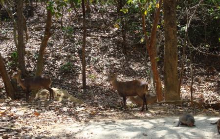 Hlawga National Park Image