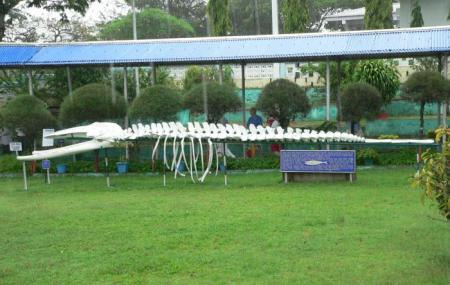 Fishery Museum Image