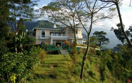Glenburn Tea Estate Image