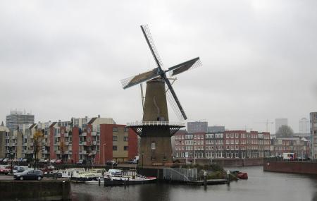 Delfshaven Image