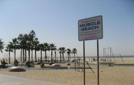 Muscle Beach Image