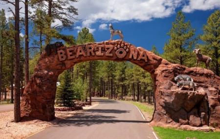Bearizona Wildlife Park Image