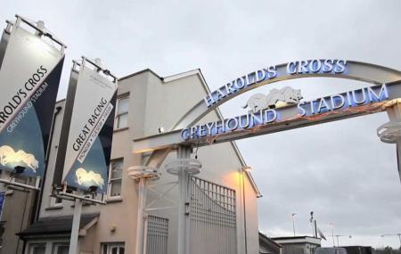 Harold's Cross Greyhound Stadium Image