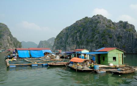 Cua Van Floating Village, Ha Long Bay | Ticket Price | Timings | Address:  TripHobo