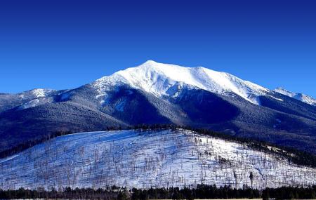 San Francisco Peaks And Humphreys Peak Image