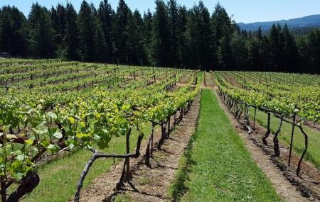 Lavelle Vineyards Image