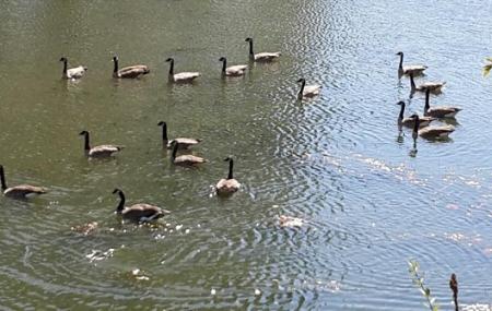 Delta Ponds City Park Image