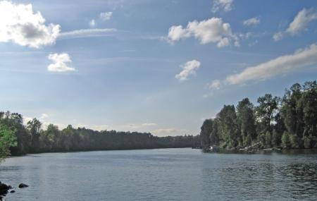 Willamette River Image