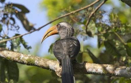 Salim Ali Bird Sanctuary Image