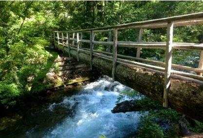 Mckenzie River National Recreation Trail Image