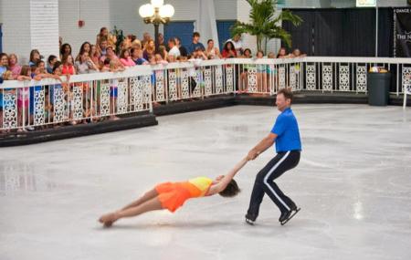Carousel Ice Skating Rink Image