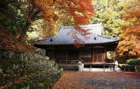 Otagi Nenbutsuji Temple Image