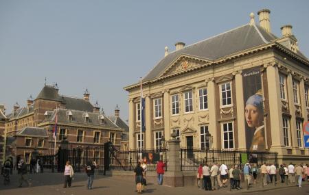 Mauritshuis Image