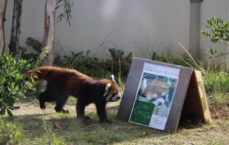 Kyoto Municipal Zoo Image