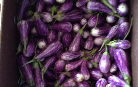 Coconut Grove Organic Market Image