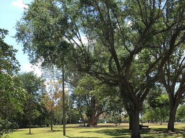 Kennedy Park Image