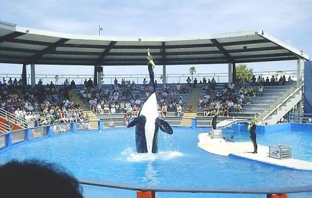 how much does it cost to go to miami seaquarium? 2