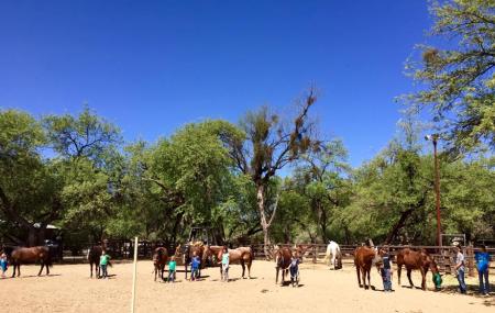 Houston's Horseback Riding Image