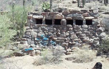 Tucson Mountain Park Image