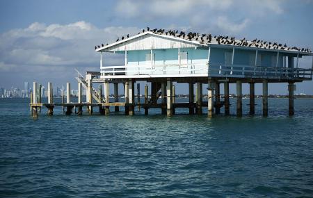 Stiltsville Image