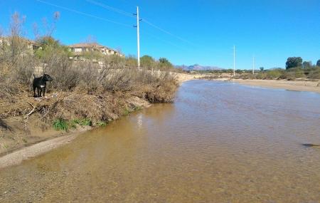 Rillito River Park Image
