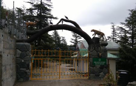 Shimla Water Catchment Sanctuary Image