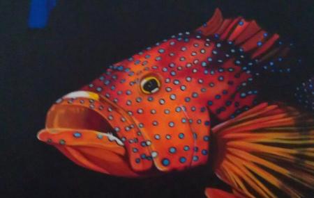 Clearwater Center For The Arts Image