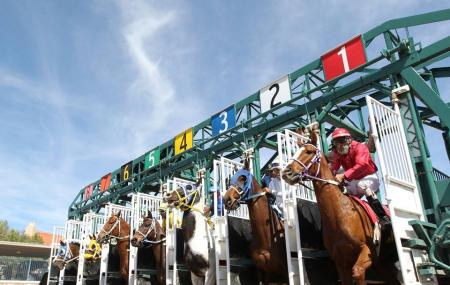 Rillito Park Horse Racetrack Image
