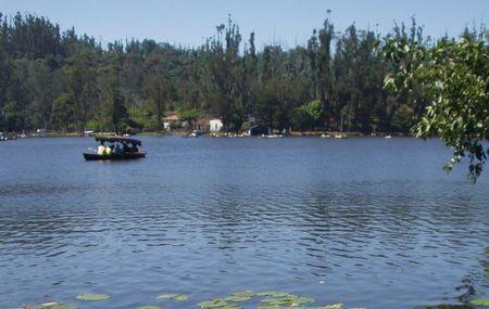 Kodaikanal Lake Image