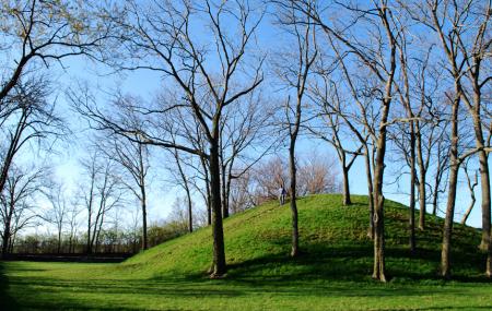 Shrum Mound Image