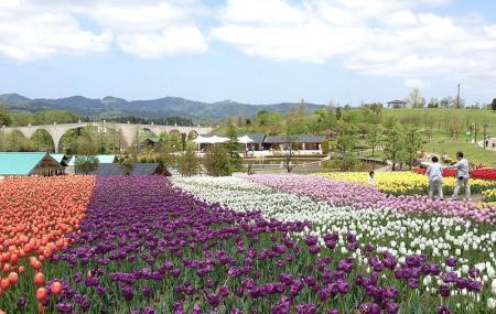 Echigo Hillside Park Image