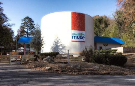 The Muse Knoxville Image