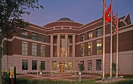 University Of Tennessee Image