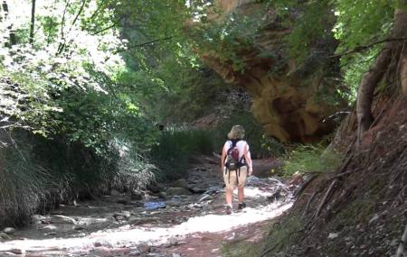 Taylor Creek Image