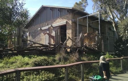 Sacramento Zoo Image