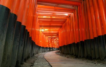 Fushimi Inari-taisha Image