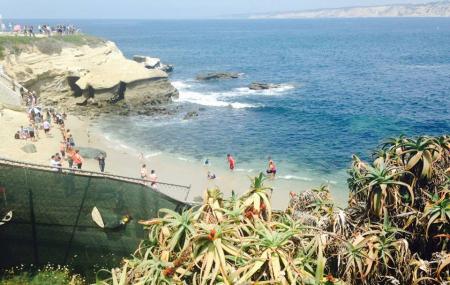 La Jolla Underwater Park Image