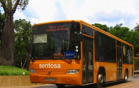 The Sentosa Bus Image