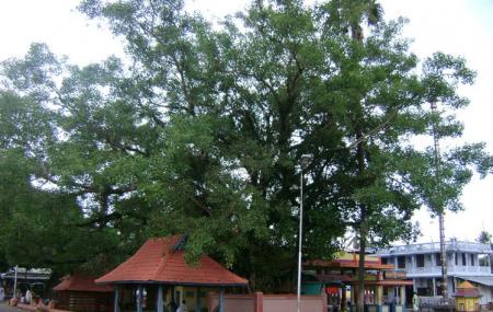 Kanichukulangara Devi Temple Image