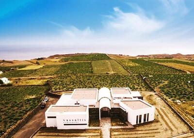 Vassaltis Vineyards Image
