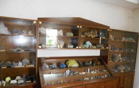 Museum Of Minerals And Fossils Image